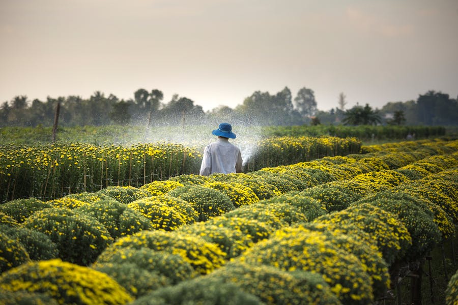 Agricultural training session